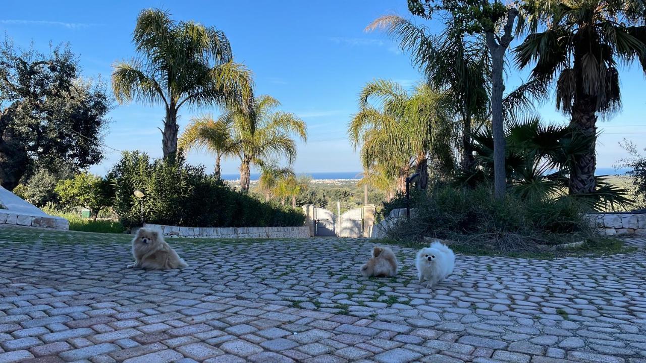 Alla Villa Di Angelo 모노폴리 외부 사진