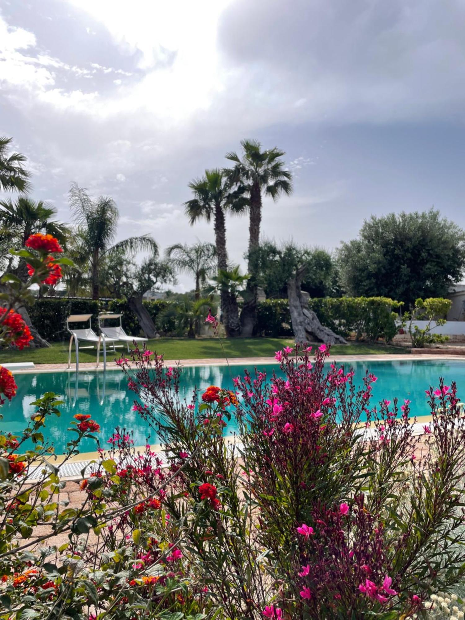 Alla Villa Di Angelo 모노폴리 외부 사진