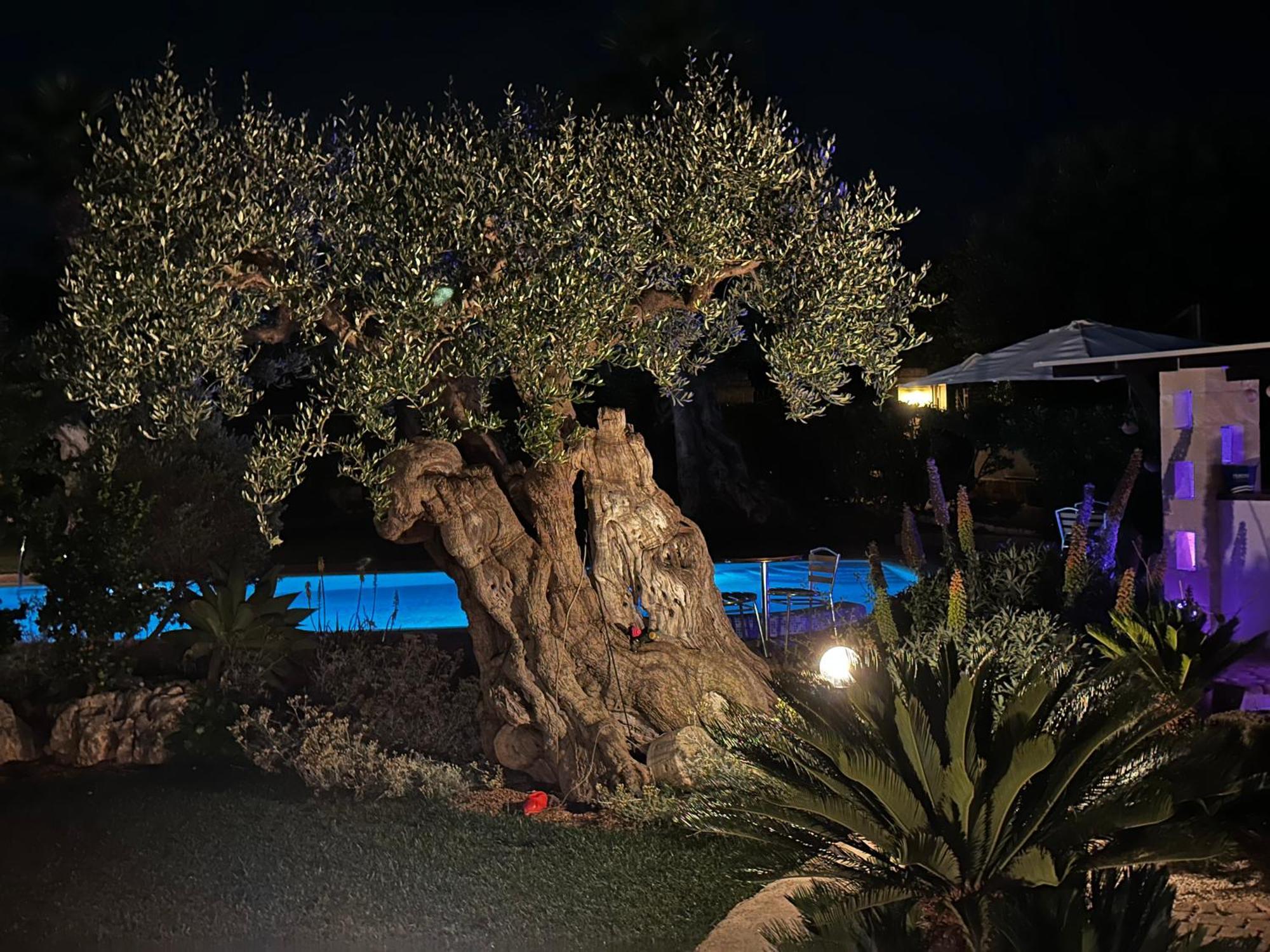 Alla Villa Di Angelo 모노폴리 객실 사진